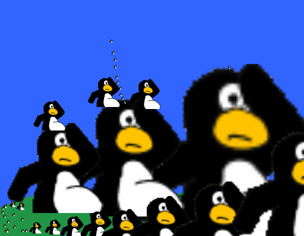penguin parade